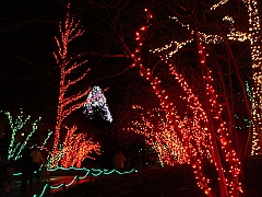 054 Toledo Zoo Light Show [2008 Dec 27]
